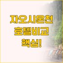 에버그린관광호텔 | 대만 자오시 온천 호텔 비교 MU 자오시 호텔 vs 호텔 로얄 자오시 누가 더 좋을까