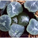 만상농장 이미지