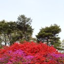 변기천 이미지
