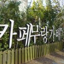 무랑가배 이미지