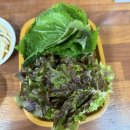 울산곰장어 | 울산곰장어맛집 | 중앙곰장어 | 방문후기