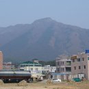 신평 정류소 Daum카페