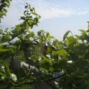 자연농원 이미지