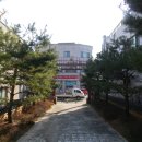 오충사 이미지