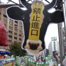 대만 시민들의 미국산 쇠고기 수입 반대 시위 이미지