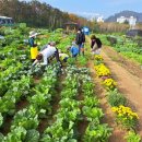 해순농장 이미지
