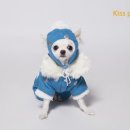 뽀삐애견 이미지