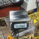 부두로 | 연안부두 대게 시세 가격 셋째네 내돈내산 후기 대게 싸게 사는 방법