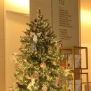 삼성화이트피부과의원 이미지