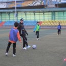 조치원체육공원(축구장) 이미지