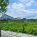 국립세종도서관 버스정류장 이미지