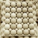 노래마을 이미지