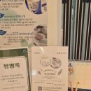 제로버스 | 출강｜성인 그림책 아로마테라피 ‘마음버스’ 공동체 힐링 프로그램 후기 (제로웨이스트 샴푸바 만들기)