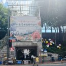 뚝섬한강공원 2024 서울국제정원박람회(ft.인사이드아웃 정원)