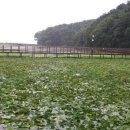 들성생태공원 이미지