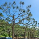 생오리마당 이미지