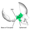 영은한의원 이미지