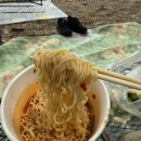 오천마을회관 | 서산 삼길포항 회 뜨는 선상 횟집에서 애견동반 가능 해안가 피크닉한 후기