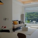 포리애견 이미지