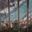 통통이네 이미지