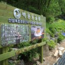 백룡농장 이미지