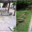 미항초등학교 이미지