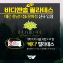 BODY PT 나성점 | 세종 소담동 기구필라테스 전문 바디앤솔 필라테스 OPEN!!(기구필라테스)1차 할인행사 중!!! 1차가 제일...