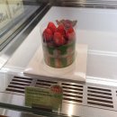 원미도너츠 | 부천 현대백화점 중동점 노티드 도넛 내돈내산 후기 줄 없이 바로 구매