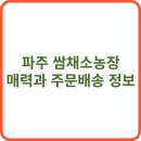 광주농협 로컬푸드마켓 일곡점 | 파주 쌈채소농장의 매력과 주문배송 정보