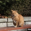 양지바른 이미지