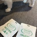 티어리베 이미지