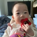 인성토이 이미지