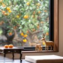 에드타임 이미지