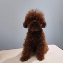 #the예쁘개 네이버블로그