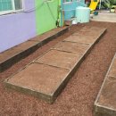 다연유치원 이미지