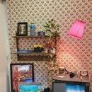 디엔차이 이미지