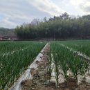 귀동농장 이미지