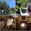 제주윤채 이미지