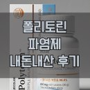 염제 | 폴리토린 파염제 효능·부작용 솔직 후기｜붓기·염증 관리에 진짜 효과 있을까?