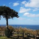 유일기획 이미지