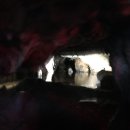 반송동237 이미지