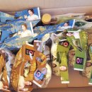 용인랜드 숲속캠핑장 이미지