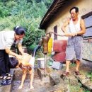 그해 여름 이미지