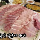 입안에바다 이미지