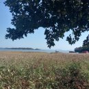 죽암보건진료소 이미지