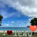 나무그늘 포토타임 이미지