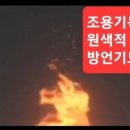 매일원색