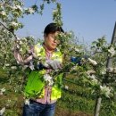 산소농장 이미지