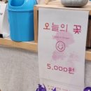 제일꽃집 이미지