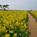 2019-주095 이미지